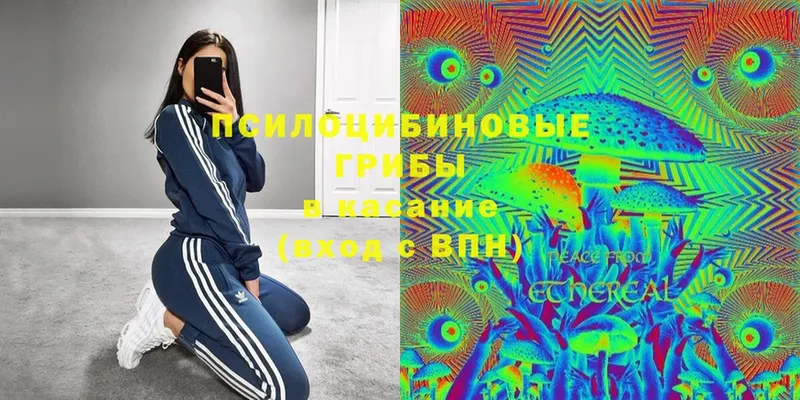 Галлюциногенные грибы Magic Shrooms  Бийск 